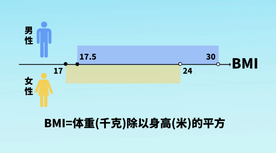 2026年1月1日至2026年2月1